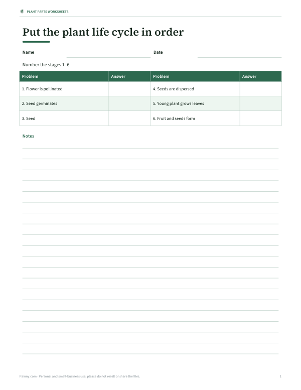 Preview of Printable Plant Life Cycle Worksheet